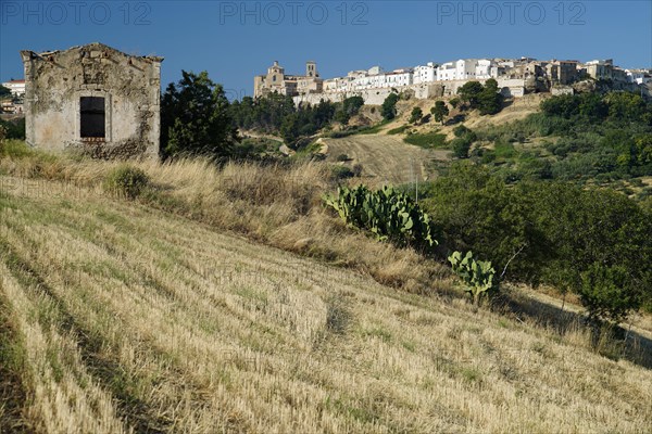 View of Irsina