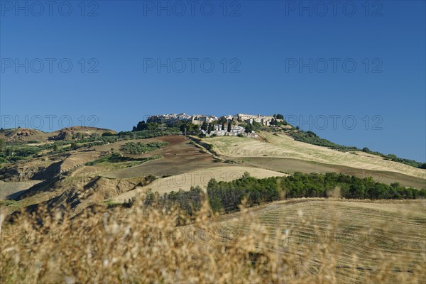 View of Irsina