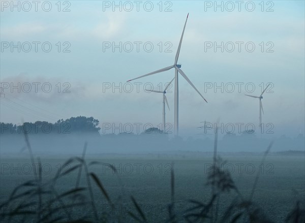 Wind turbines and the mast of a high-voltage power line in the early morning fog. Ochsenwerder