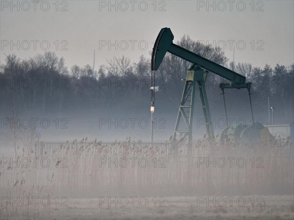 Horse-head pumping oil in the Kirchwerder Wiesen nature reserve