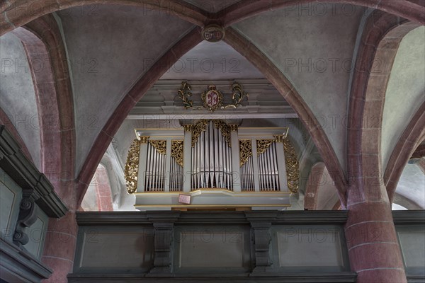 Organ