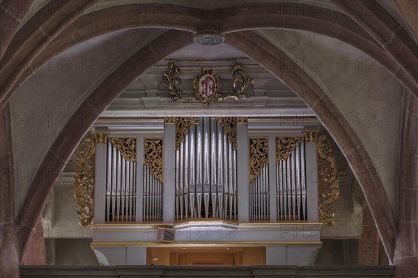 Organ