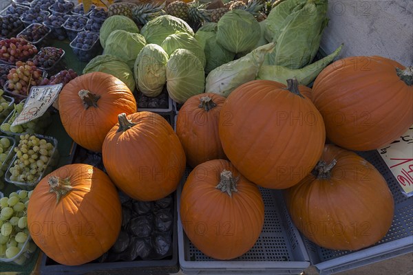 Hokkaido pumpkin