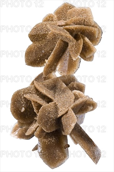 Gypsum Roses with Sand Inclusions from Jet