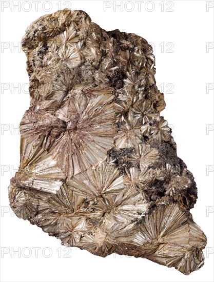 Pyrophyllite from the Ward Mine