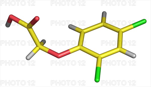 2, 4-D, Member of the Chlorophenoxy Family of Herbicides, was the first successful selective herbicide developed. It was introduced in 1946 and rapidly became the most widely used herbicide in the world