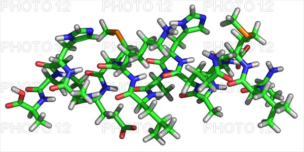 Alpha helix Molecule