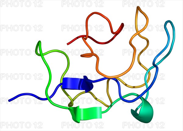 Antifreeze proteins are found in certain fish inhabiting polar sea water. These proteins depress the freezing points of blood and body fluids below that of the surrounding sea water by binding to and inhibiting the growth of seed ice crystals