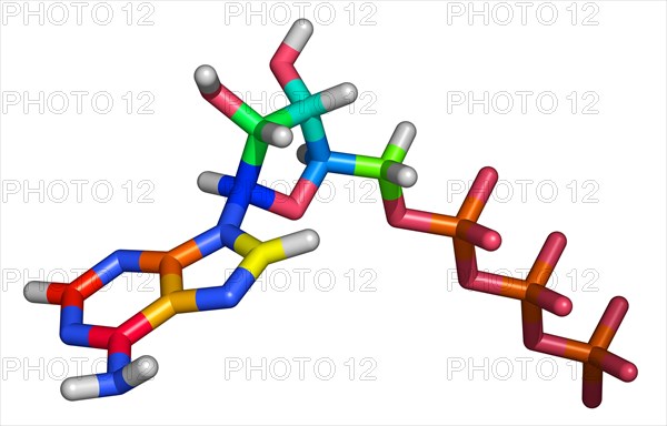 Molecule of Adenosine Triphosphate