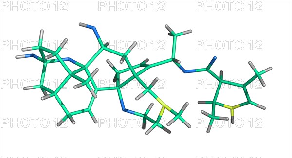 Batrachotoxin from a Golden Poison Frog