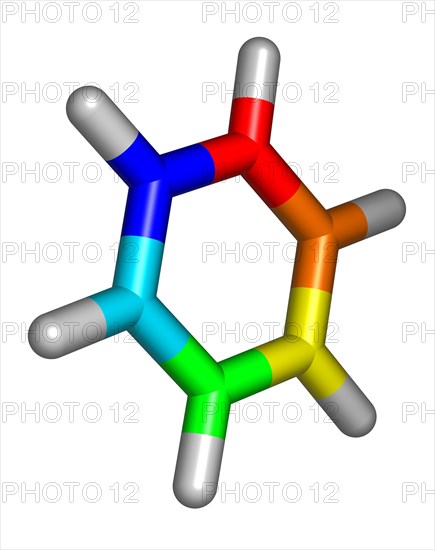 Benzene Molecule