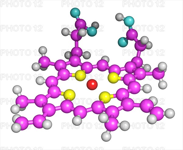 Heme Porphyrin Ring