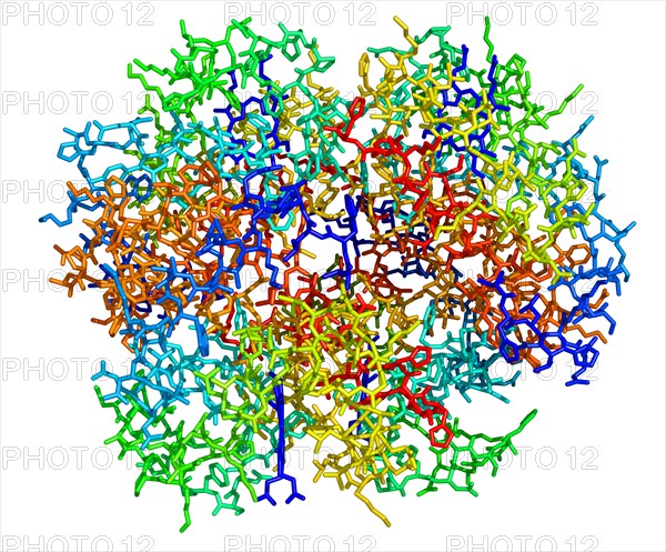 Hemoglobin