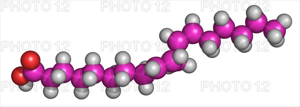 Linoleic Acid