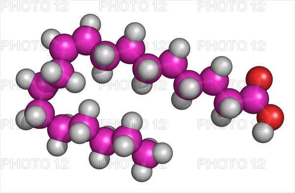 9-octadecenoic acid