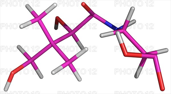 Pantothenic Acid Molecule