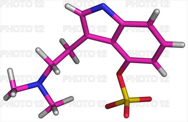 Psilocybin is a member of the tryptamine family