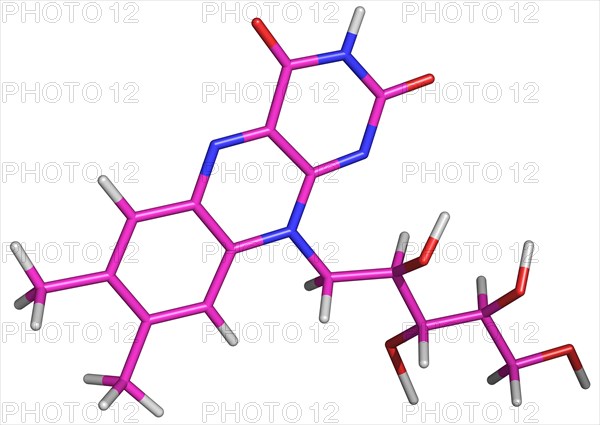Riboflavin or Vitamin B2 Molecule