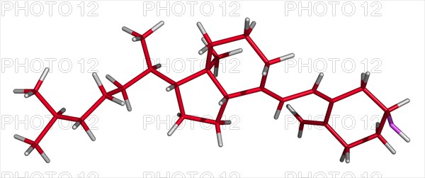 Cholecalciferol is a form of Vitamin D