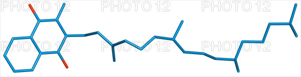 Vitamin K denotes a group of lipophilic