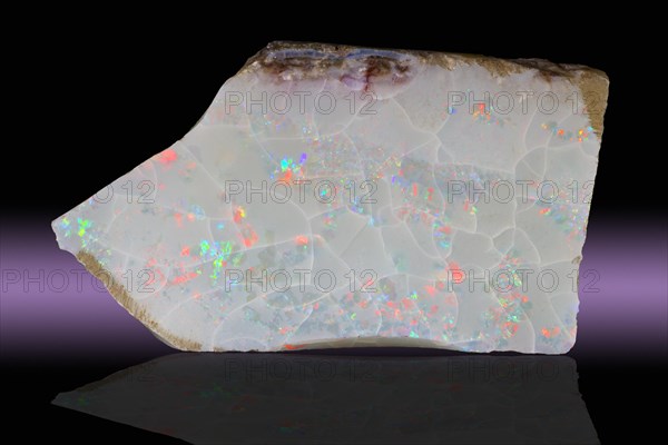 Opal variety Precious