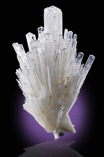 Scolecite