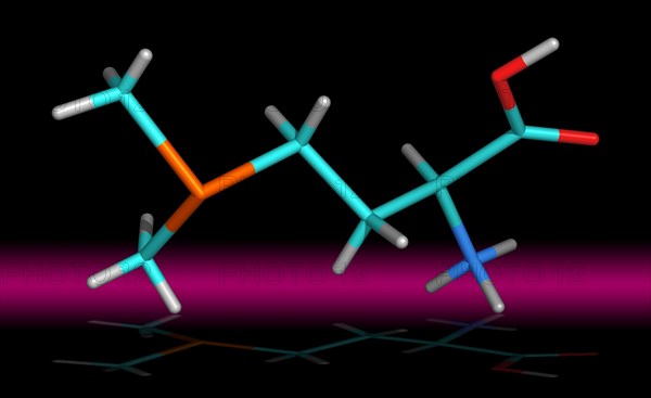 S-Methylmethionine