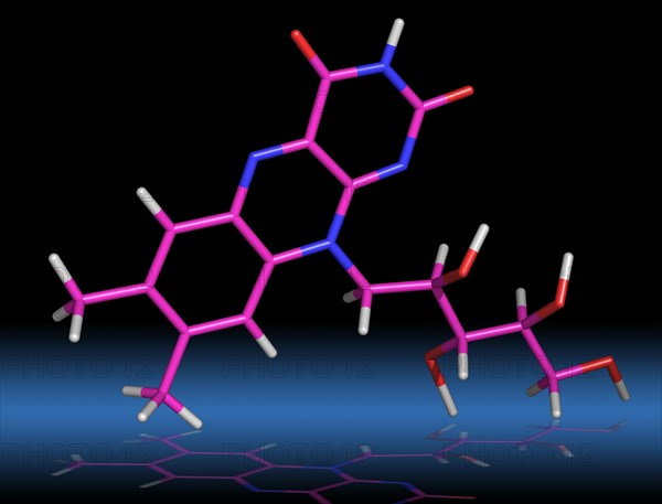 Riboflavin or Vitamin B2 Molecule