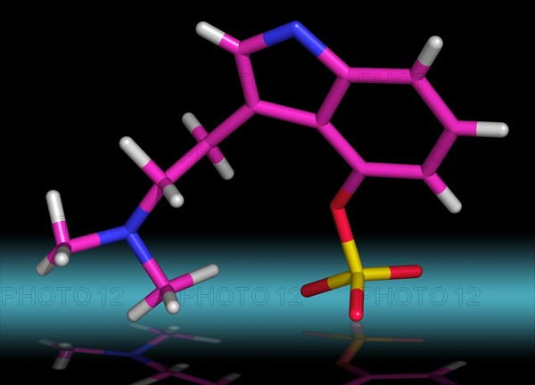 Psilocybin is a member of the tryptamine family