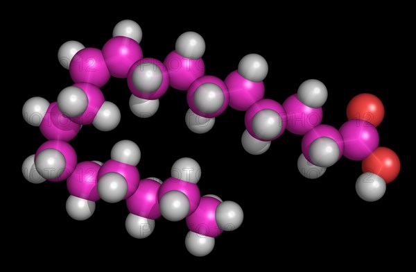 9-octadecenoic acid