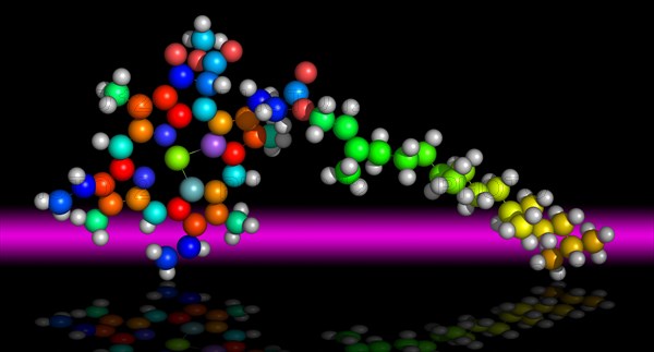 Molecule of Chlorophyll