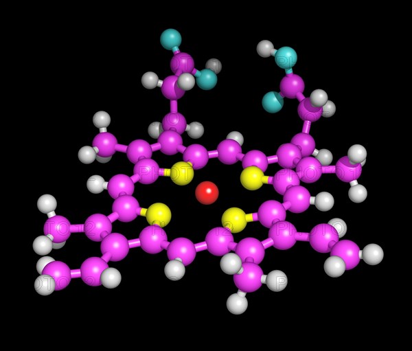 Heme Porphyrin Ring