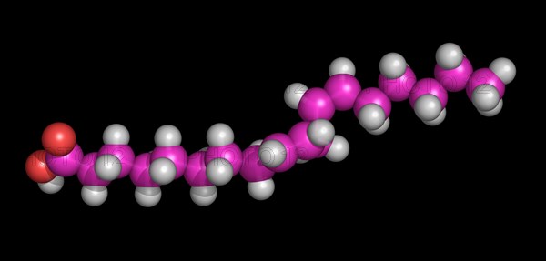 Linoleic Acid