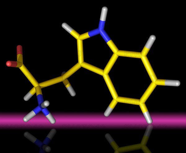 Tryptophan is highly important as it is the metabolic precursor to serotonin