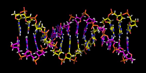 Deoxyribonucleic acid