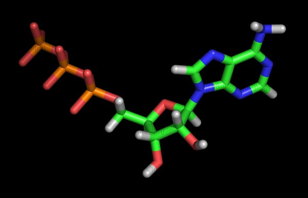 Molecule of Adenosine Triphosphate