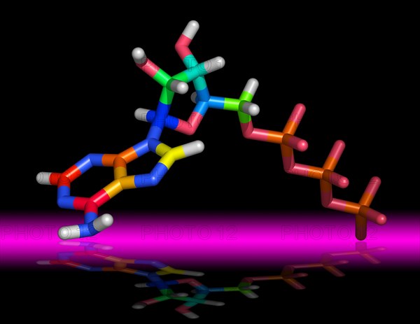 Molecule of Adenosine Triphosphate