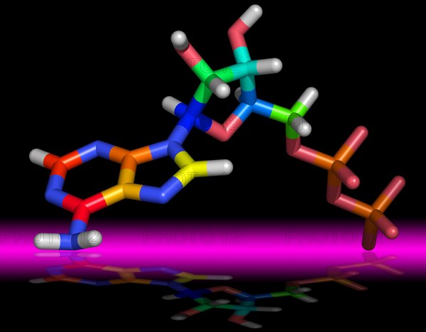 Adenosine diphosphate