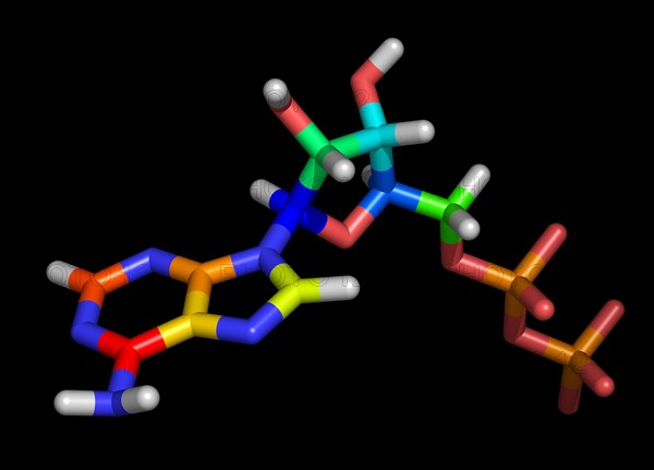 Adenosine diphosphate