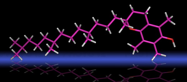 Tocopherol Molecule