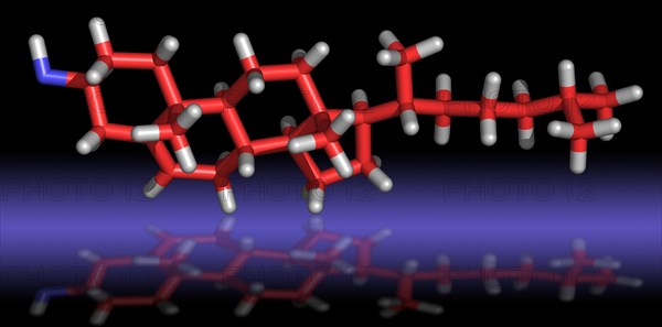 Cholesterol Molecule