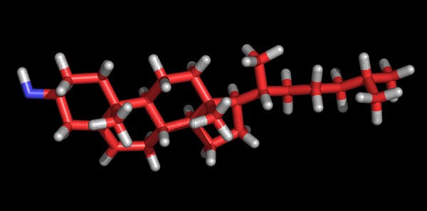 Cholesterol Molecule