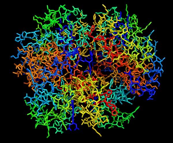 Hemoglobin