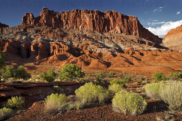 Capitol Reef National Park