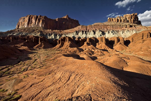 Capitol Reef National Park