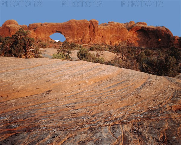 Cove Arch