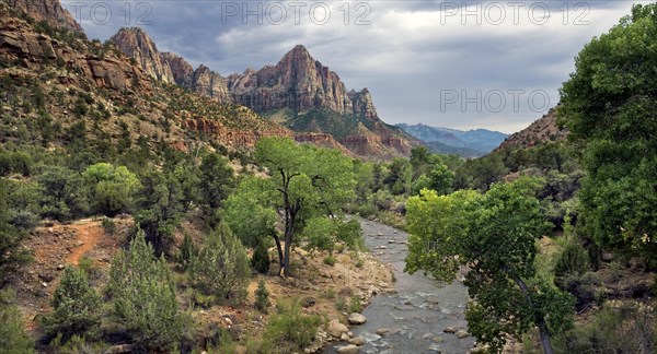 Afternoon Light on the Virgin River