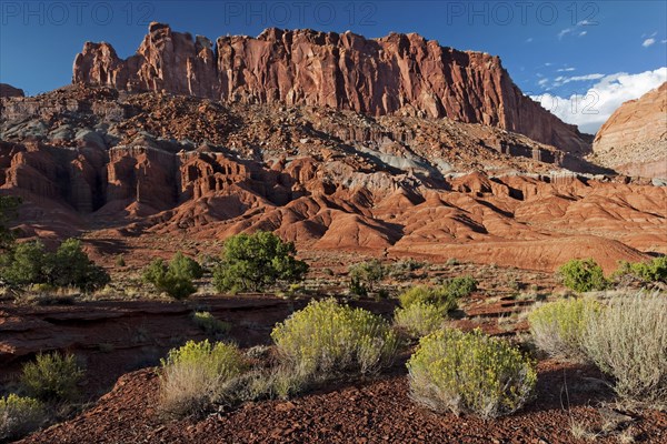 Capitol Reef National Park