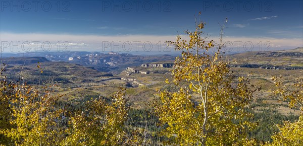 Changing Aspen