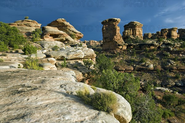 Canyonlands National Monument